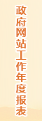政府工作年度报表